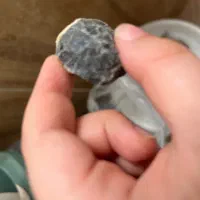سنگ مرمر ۱۳۰۰۰۰۰