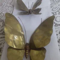 پروانه برنجی