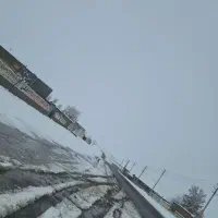 باغ|فروش خانه و ویلا|رضویه, |دیوار