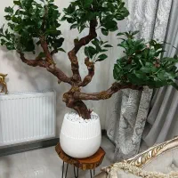 درختچه بونسای مصنوعی|گل مصنوعی|شهریار, رضی آباد بالا|دیوار