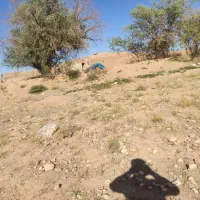 52 هکتار زمین کشاورزی|فروش دفتر صنعتی، کشاورزی، تجاری|میمه, |دیوار