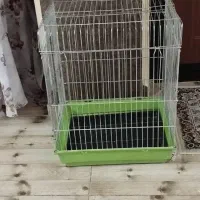 قفس 1032 مناسب عروس هلندی طوطی و ...