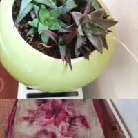 شال پفکی و گل