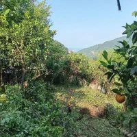 فروش زمین ۲۷۵متردرابتدای روستای گانکسر
