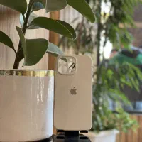 سیلیکونی پاک کنی 16PROMAX|لوازم جانبی موبایل و تبلت|قم, حاج زینل|دیوار