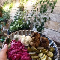 کارگر ساده خانم