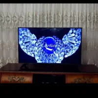 تلوزیون ال جی ۴۹ اینچ فول اچ دی با کنترل موس دار