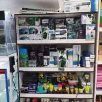 انواع ماهی و اکواریوم گیاه طبیعی