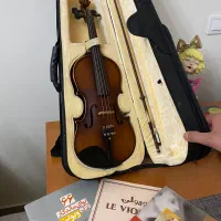 ویولن v90 برگمولر در حد نو|ویولن|تهران, حافظیه|دیوار