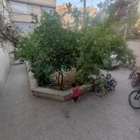 اجاره آپارتمان سه ۳ طبقه مستقل دربستی با حیاط مشجر|اجارهٔ خانه و ویلا|تهران, شادمان|دیوار