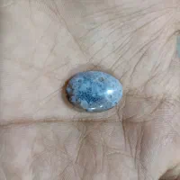 نگین شجر دریایی|جواهرات|تربت جام, علوی|دیوار