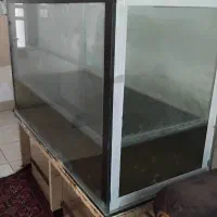 فروش اکفاریوم ماهی