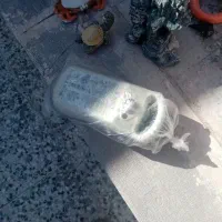 اکواریون|ماهی|رفسنجان, |دیوار