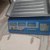 ترازوی۴۰کیلویی گلدستار