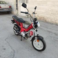 پاکشتی