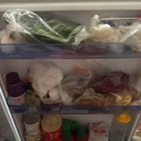 یخچال فریزرفیلور