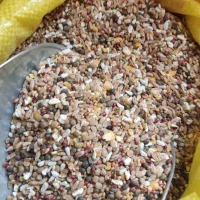 خرید وفروش دان پارس و  گندم|لوازم جانبی حیوانات|گرگان, |دیوار