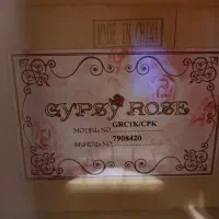 گیتار Gypsy rose|گیتار، بیس، امپلیفایر|مشهد, آزادشهر|دیوار