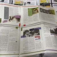 کاغذ و روزنامه باطله