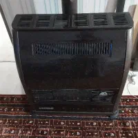 بخاری آدنیس
