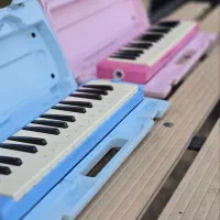 پخش ملودیکا همکار و عمده|سازهای بادی|تهران, باغ خزانه|دیوار