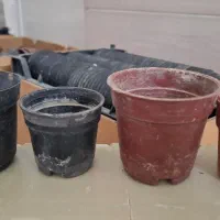 گلدان پلاستیکی کوچک برای قلمه و تکثیر گل و گیاه