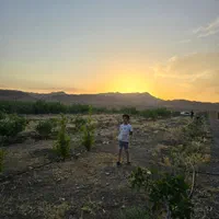 باغچه ۲۰۰۰هزارمتری در جاده کاشان|فروش خانه و ویلا|قم, شهر قائم|دیوار