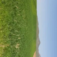 زمین کشاورزی