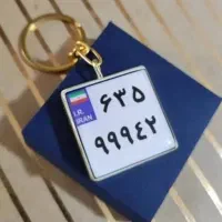 جاسوییچی پلاک موتور