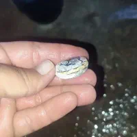 مهره زیرخاکی|جواهرات|دزفول, |دیوار