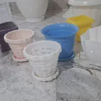 گلدان پلاستیکی گل طبیعی|گل و گیاه طبیعی|رباط‌کریم, نصیرشهر|دیوار