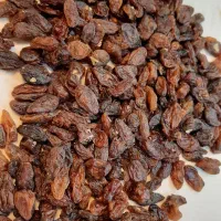 کشمش آفتابی مخصوص آبگیری