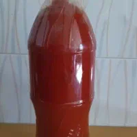 رب خانگی