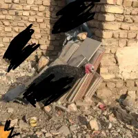 گمشده بوقلمون