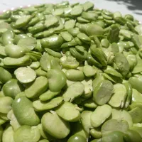 باقالی دوپوسته ی پوسته باپوست ابپز