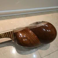 تار حرفه ای برزی