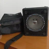 اکو همراه برین صوت