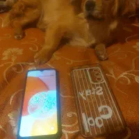 گوشی سامسونگ a14