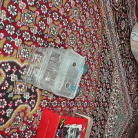 اکواریوم شیشه خم|ماهی|رباط‌کریم, شترخوار|دیوار