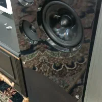 باند بلک اسمیت ایستاده دوتایی