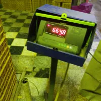 دونفر نیروی کار زرنگ جهت کار در قسمت بارگیری