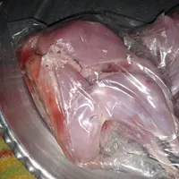بلدرچین|حیوانات مزرعه|مرودشت, رودبال|دیوار