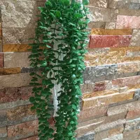 انواع ریسه ها و شمشاد سبز و گلدان|گل مصنوعی|اهواز, پادادشهر|دیوار