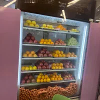 یخچال بستنی فروشی|فروشگاه و مغازه|رشت, کاکتوس|دیوار