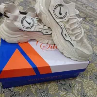 کفش|کیف، کفش، کمربند|مرند, |دیوار