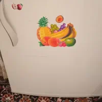 درب یخچال فریزر
