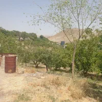 کارگر باغ وارد به باغبانی|استخدام صنعتی، فنی، مهندسی|تهران, اختیاریه|دیوار