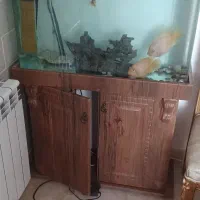 آکواریوم و ماهی وهمراه وسایلاش