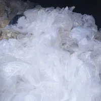 مشما ضایعات