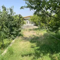 باغبان و نگهبان ثابت